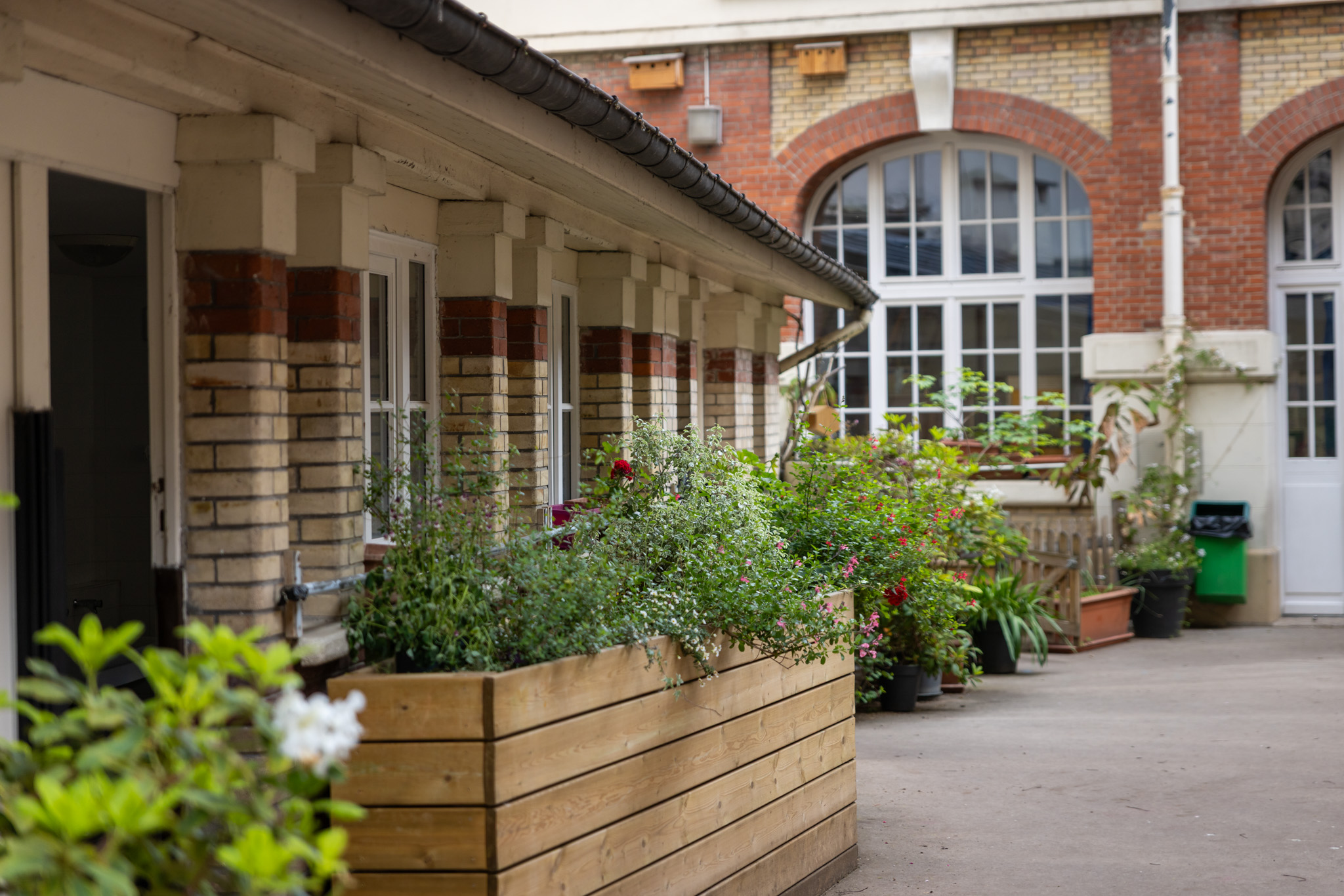 enfants cour oasis