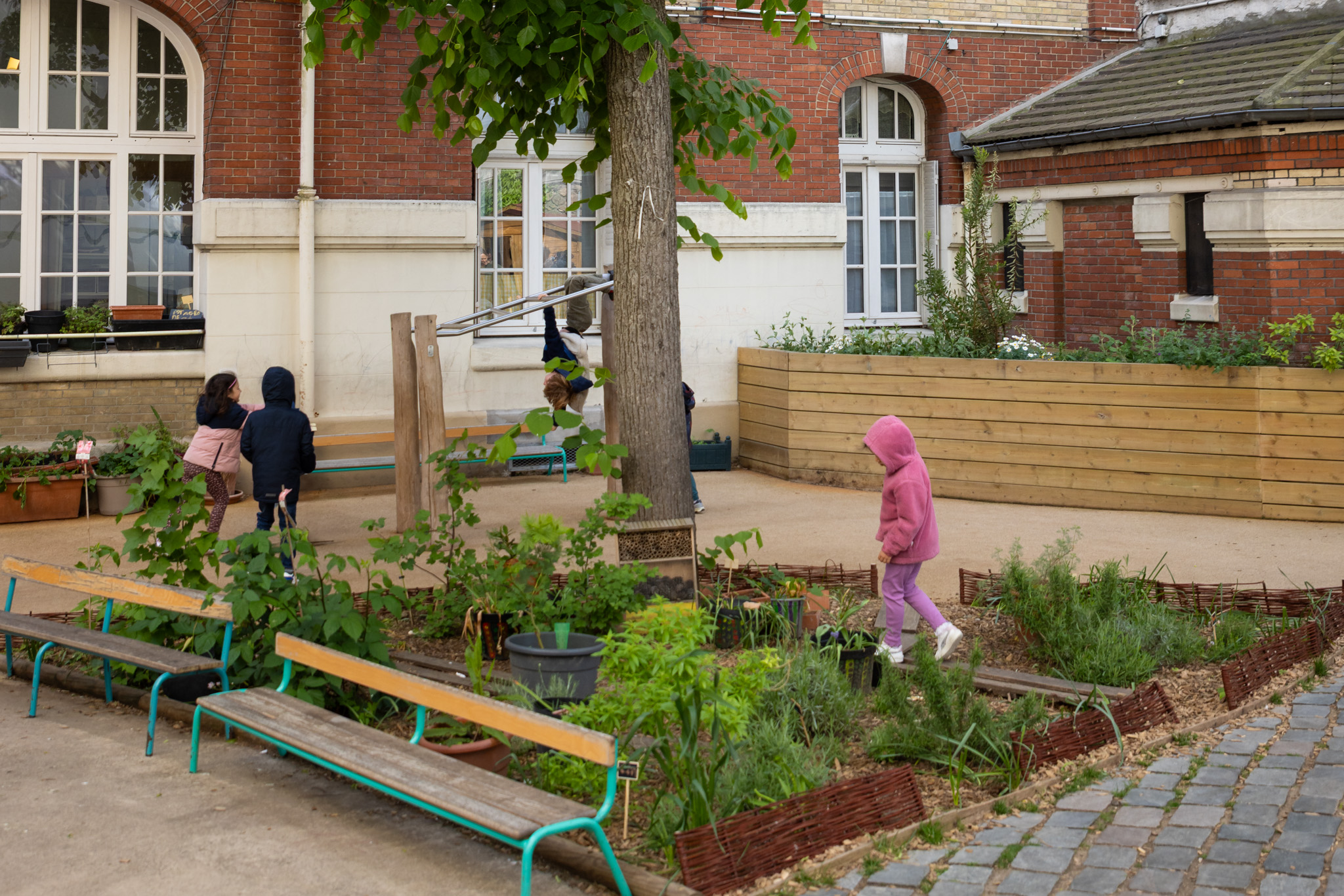 enfants cour oasis