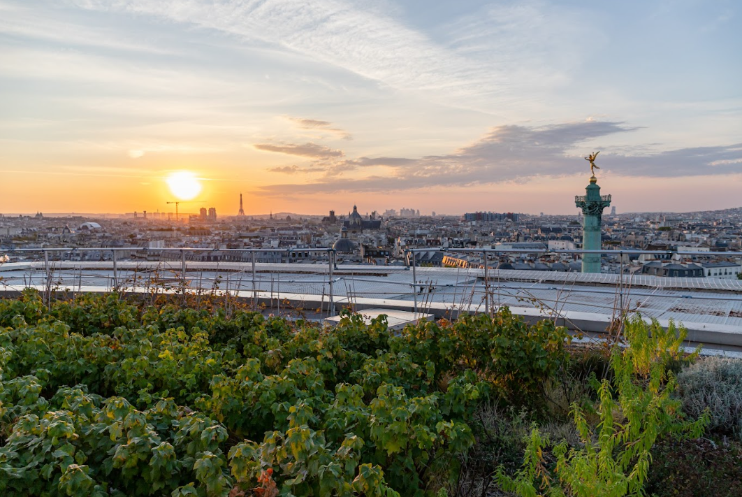 Le potager du projet Hop’éra Batavia, sur le toit de l'Opéra bastille avec une vue imprenable sur la colonne Bastille et les toits de Paris