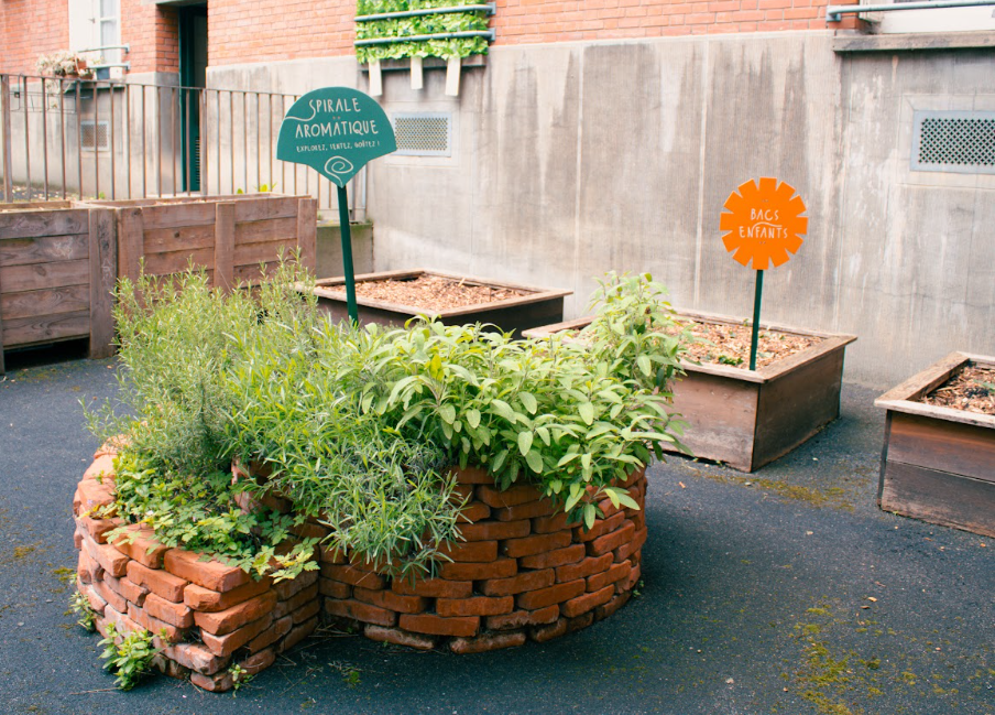 Le potager du projet Jardin Monte en graine