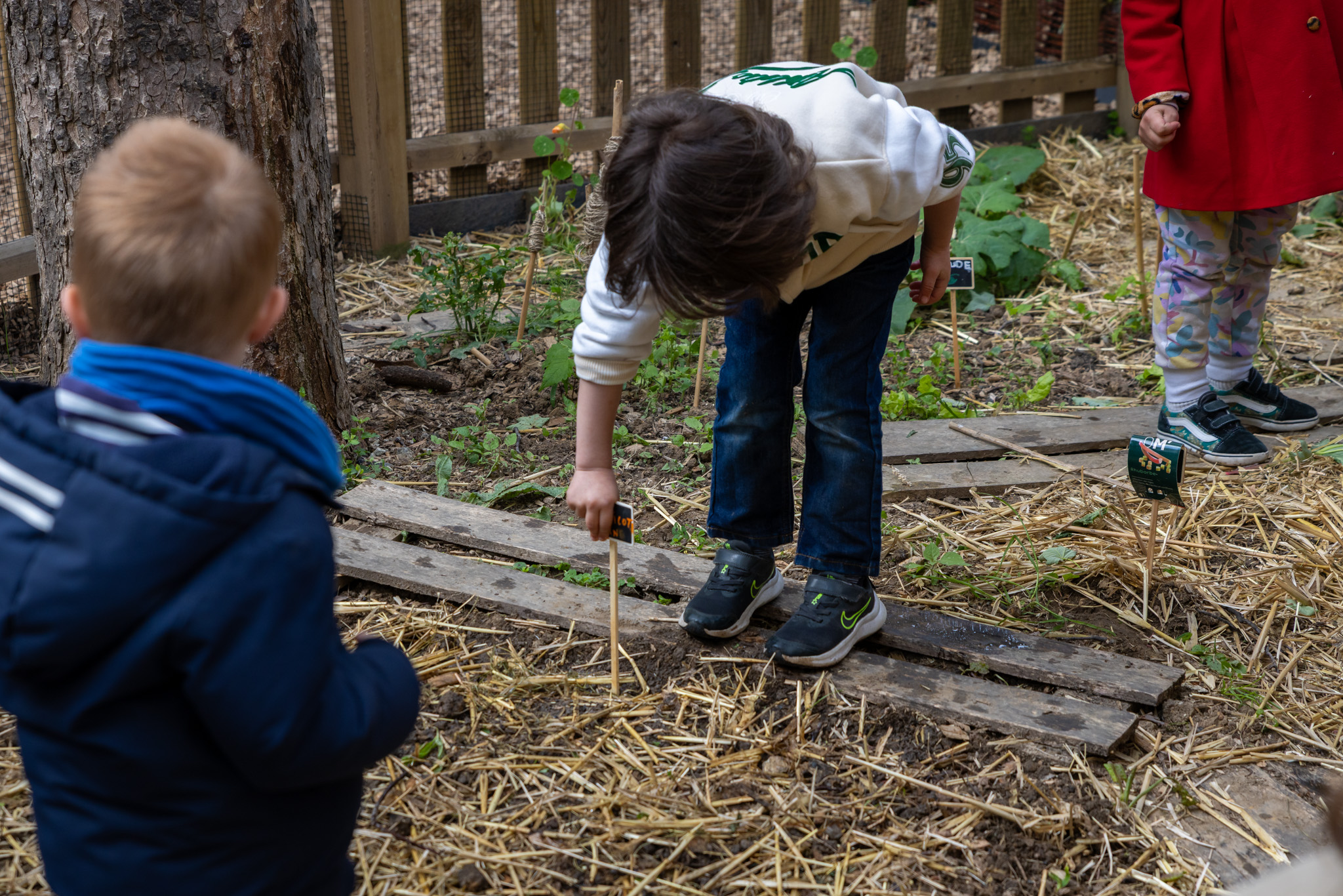 enfants cour oasis
