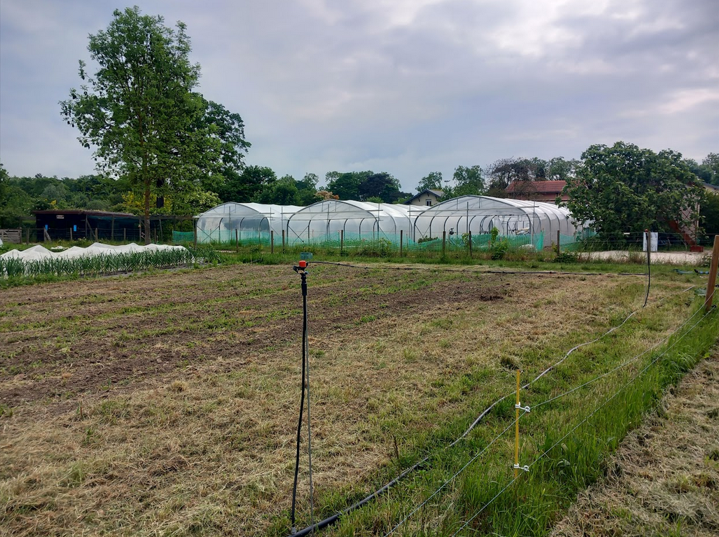 Les serres du site Parisculteurs de la ferme de paris