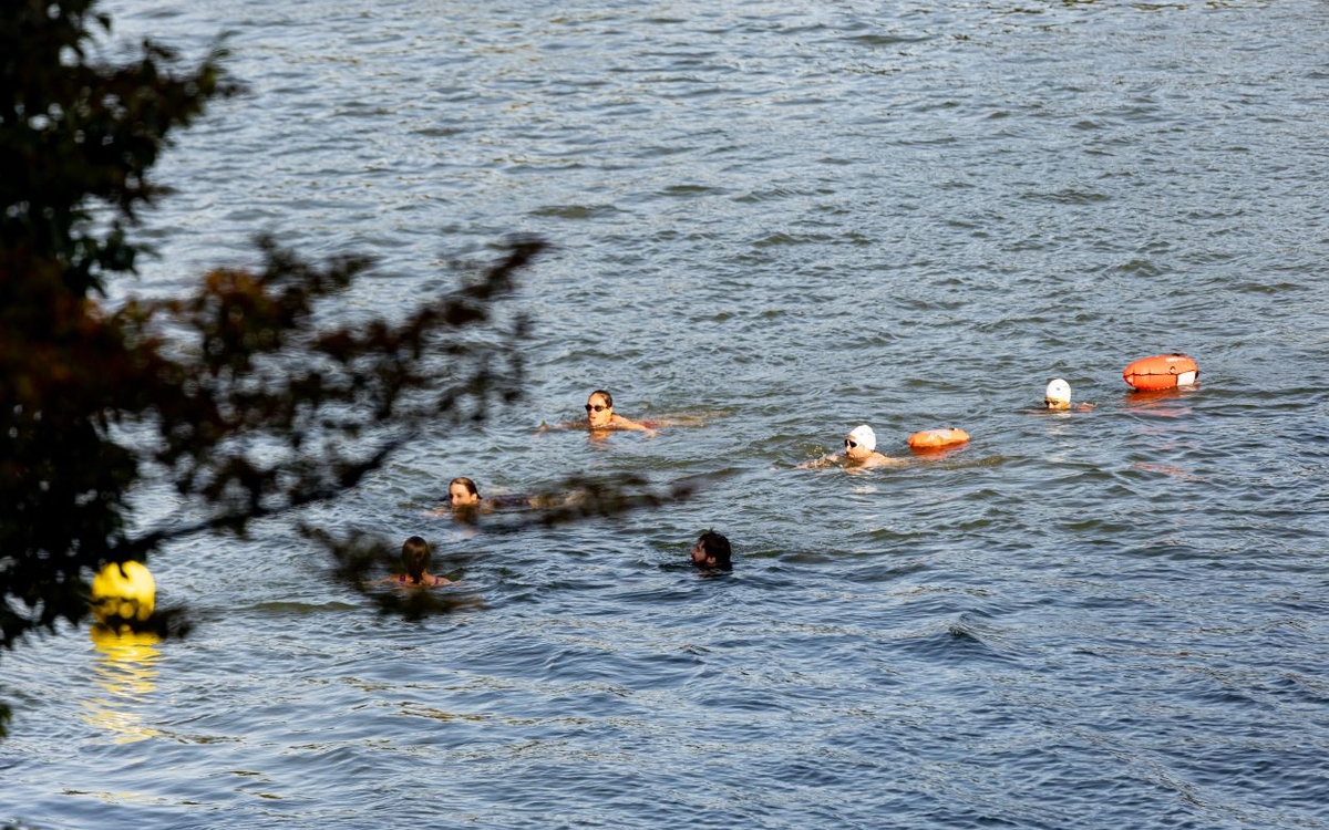 Des nageurs dans la Seine, en juillet 2024