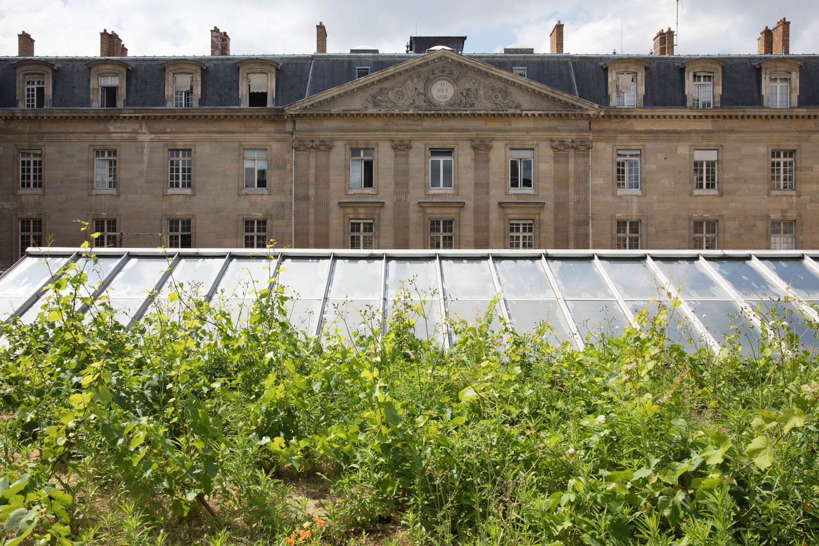 Vue d'une toiture végétalisée