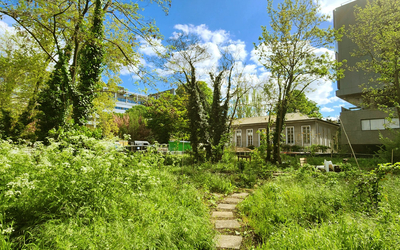 vue d'un projet forestier 