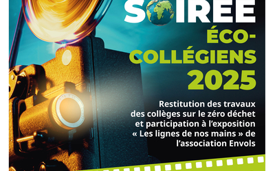 affiche caméra projection