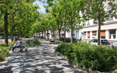 Photo du boulenvard Edgard Quinet réaménagé et végétalisé suite à la démarche Embellir Votre Quartier 