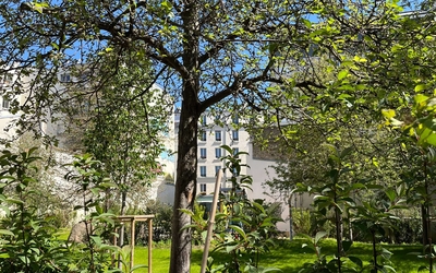 jardin parisien