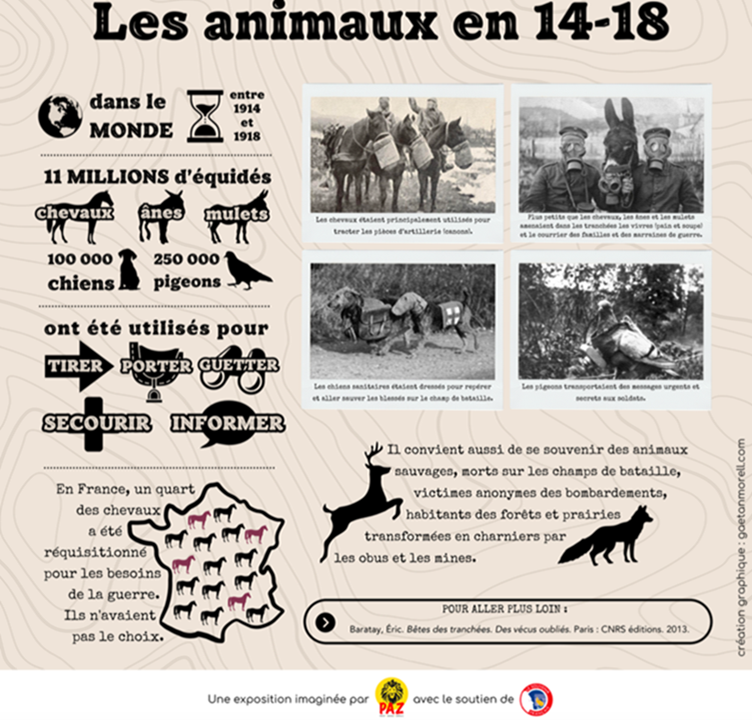 Planche exposition animaux
