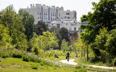bois de charonne avec une personne qui marche sur l'allée