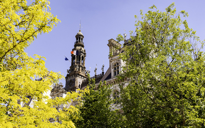 Il s'agit de la forêt urbaine de l'Hôtel de Ville