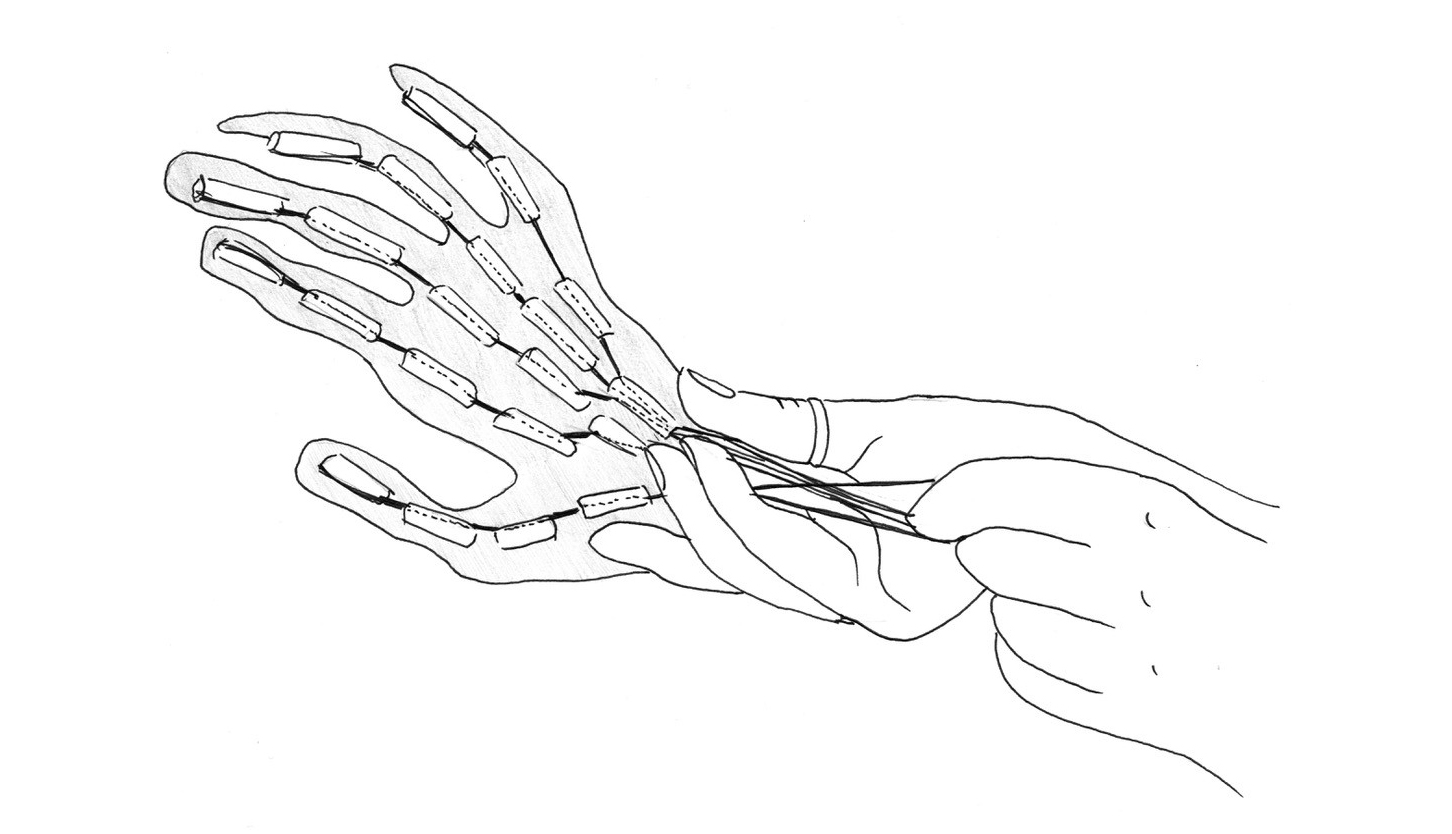 Illustration d'une main