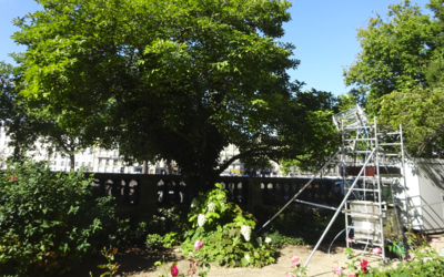 Une installation scientifique dans un jardin parisien