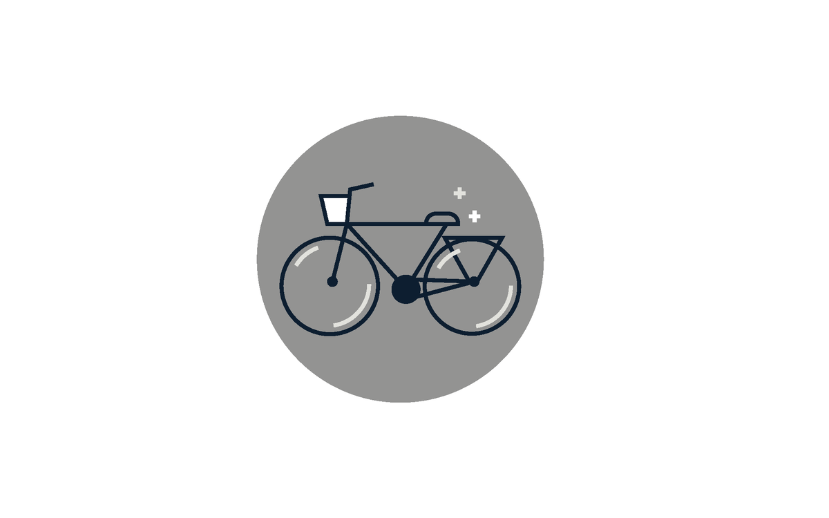 vélo gris