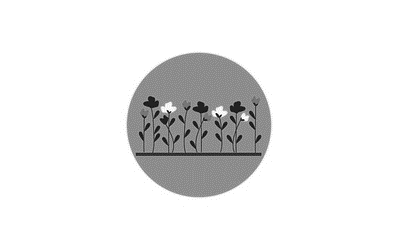 fleurs en gris