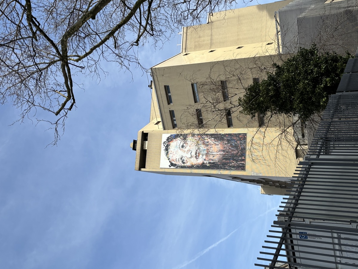 Photo de la fresque d’Édith Piaf de l’artiste Hom NGUYEN réalisée en 2019 sur la façade de la maternité de l’hôpital Tenon