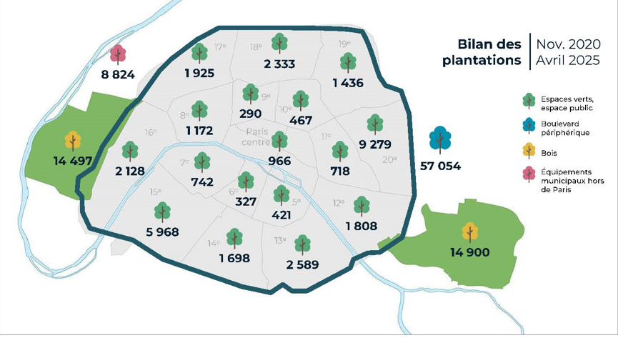 plantations 2020-2025