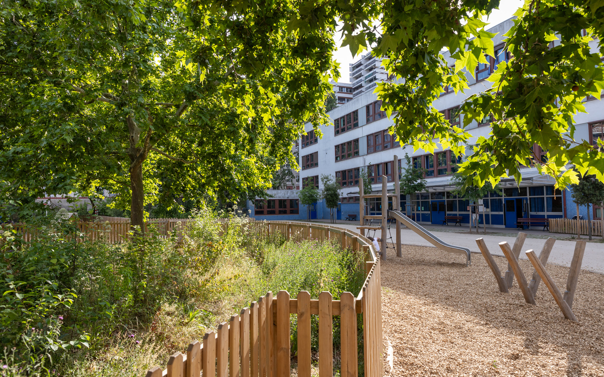 Les espaces arborés des nouvelles cours oasis