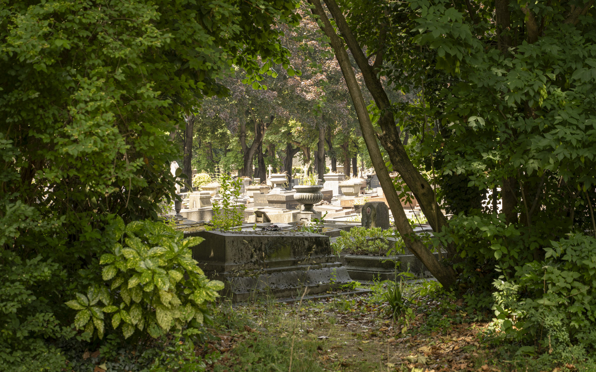 Cimetière parisien de Saint-Ouen.