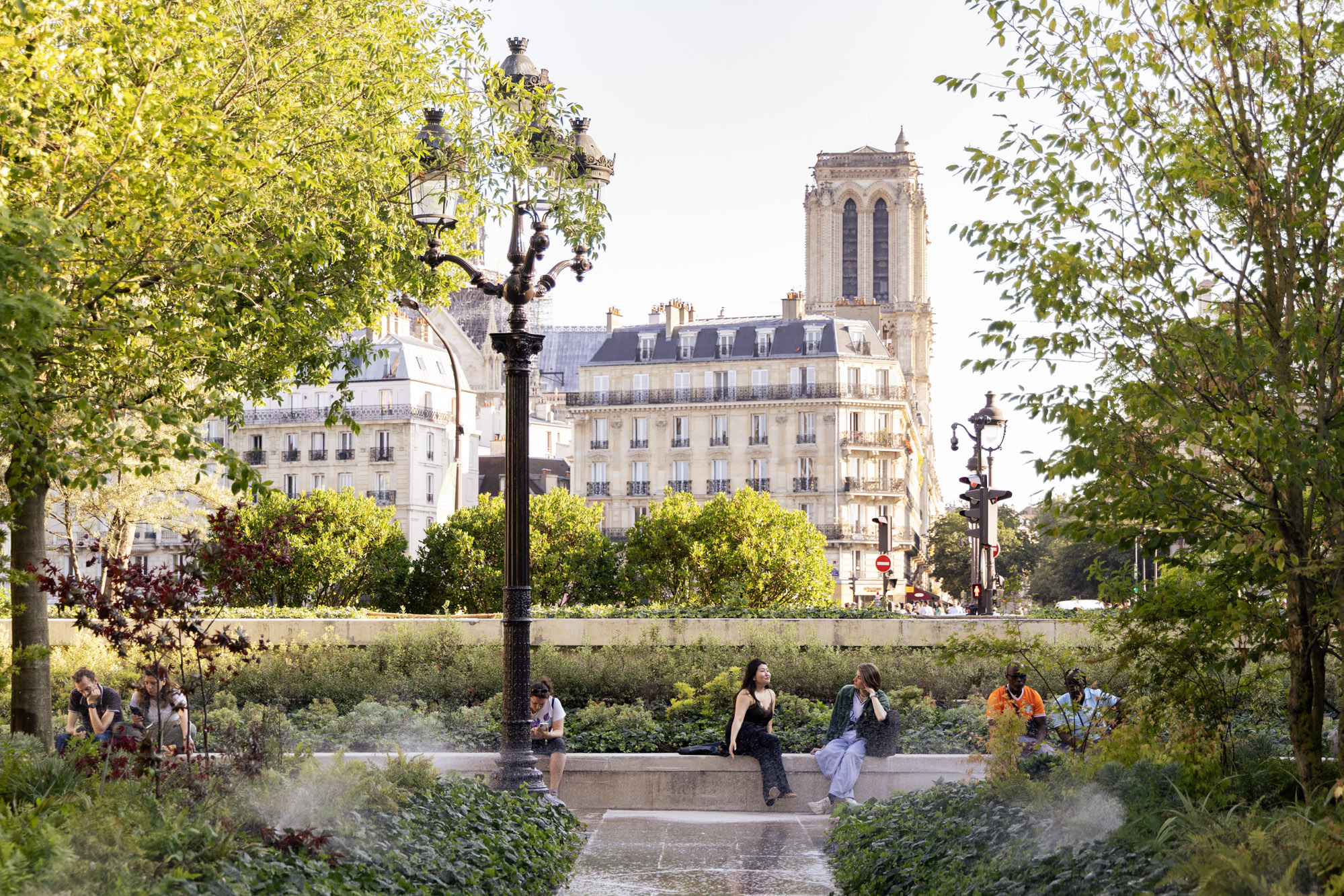 Des personnes se reposent dans la fôret urbaine sur le parvis de l'Hôtel de Ville. 