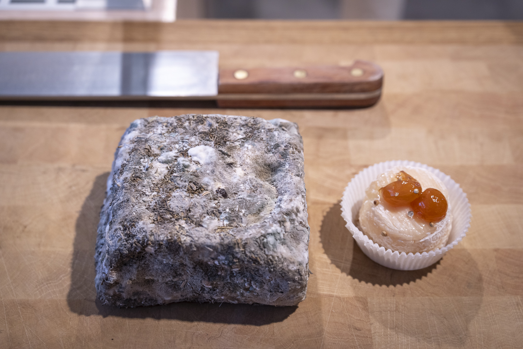 crottin de chèvre