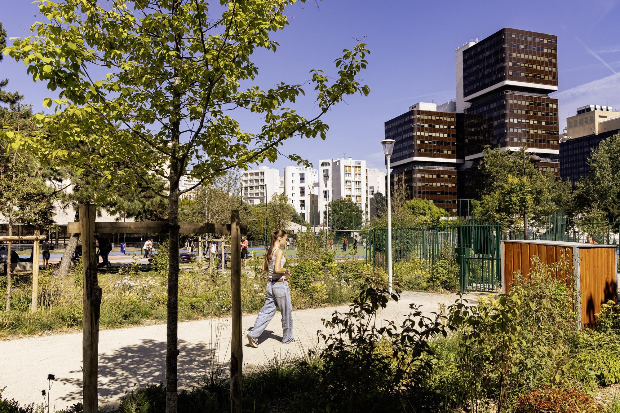 verdure et immeubles 