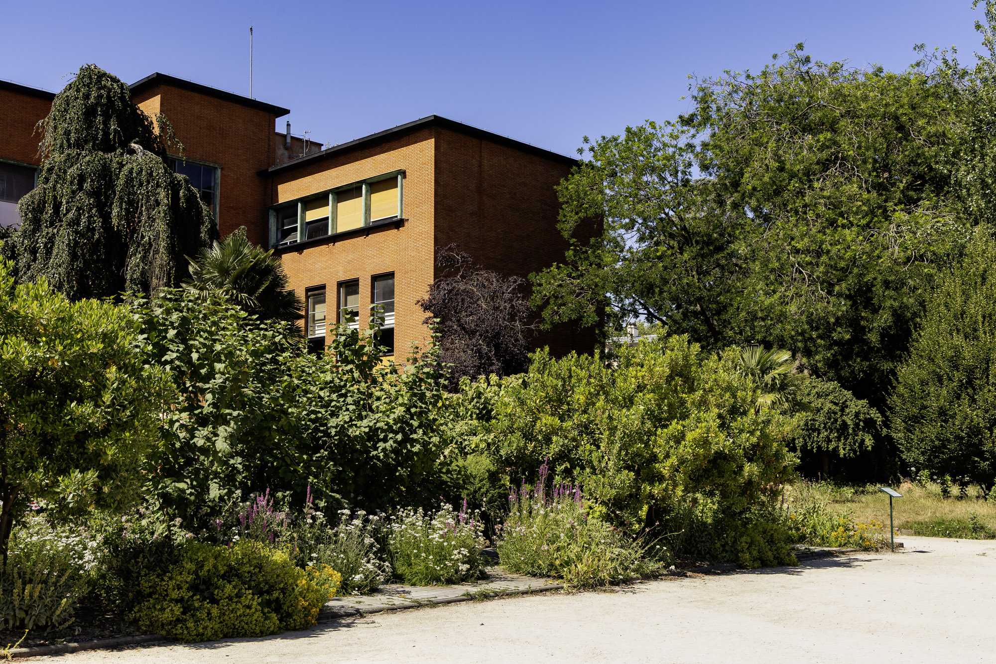 bâtiment dans la verdure 