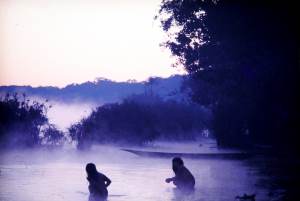 lac et forêt baignés de brume violette