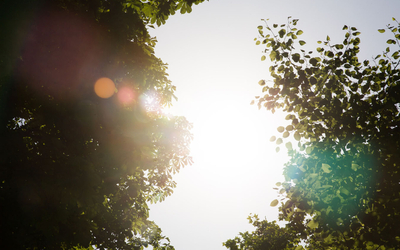Illustration canicule