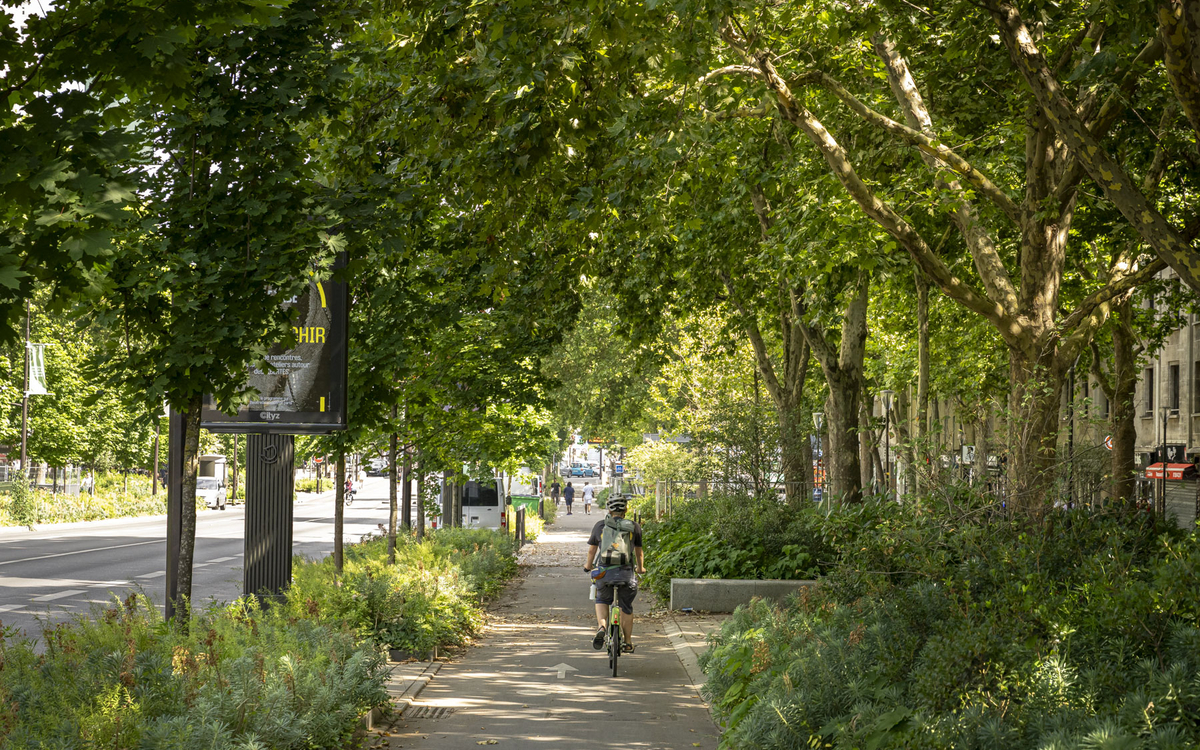 Une piste cyclable.