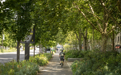 Une piste cyclable.
