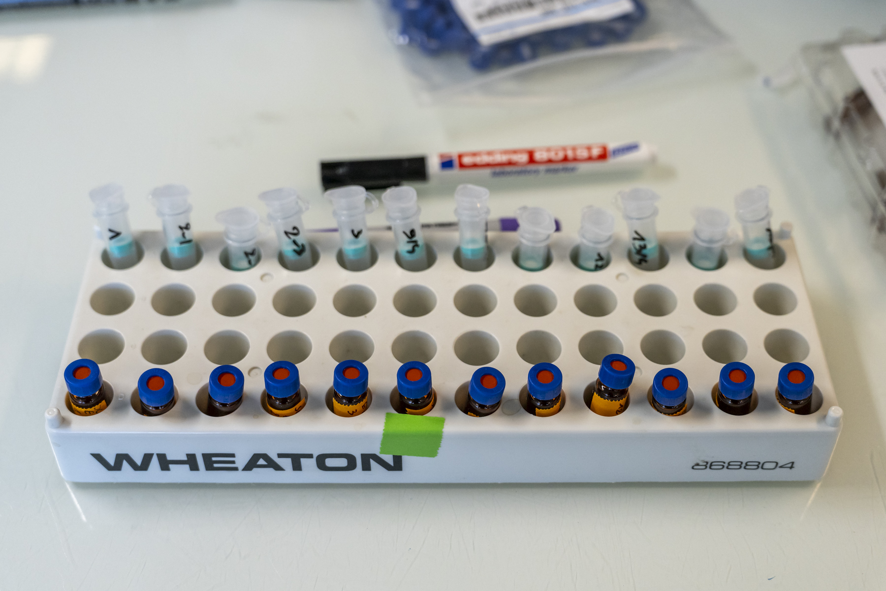 Une multitude d’échantillons d’eaux usées prêts à être analysés en laboratoire. 