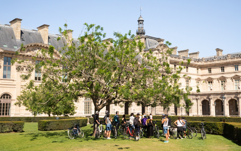 Un groupe de cyclistes à l'ombre sous un arbre du jardin des Tuileries. 