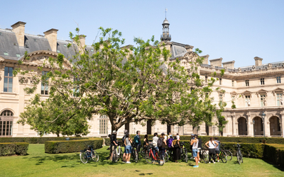 Un groupe de cyclistes à l'ombre sous un arbre du jardin des Tuileries. 