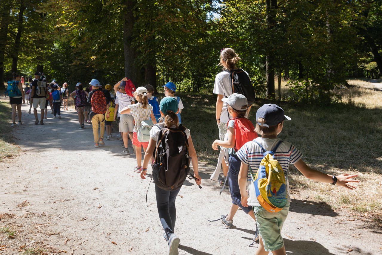des enfants en train de randonner dans une forêt, accompagnés d'un adulte
