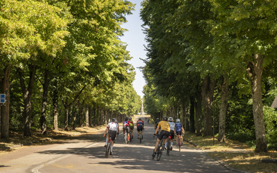 Peloton de cyclistes sur le parcours du Polygone.