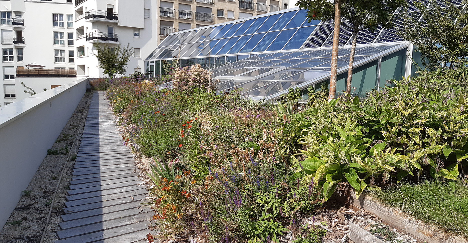 Photo du jardin sur le toit de RATP Habitat