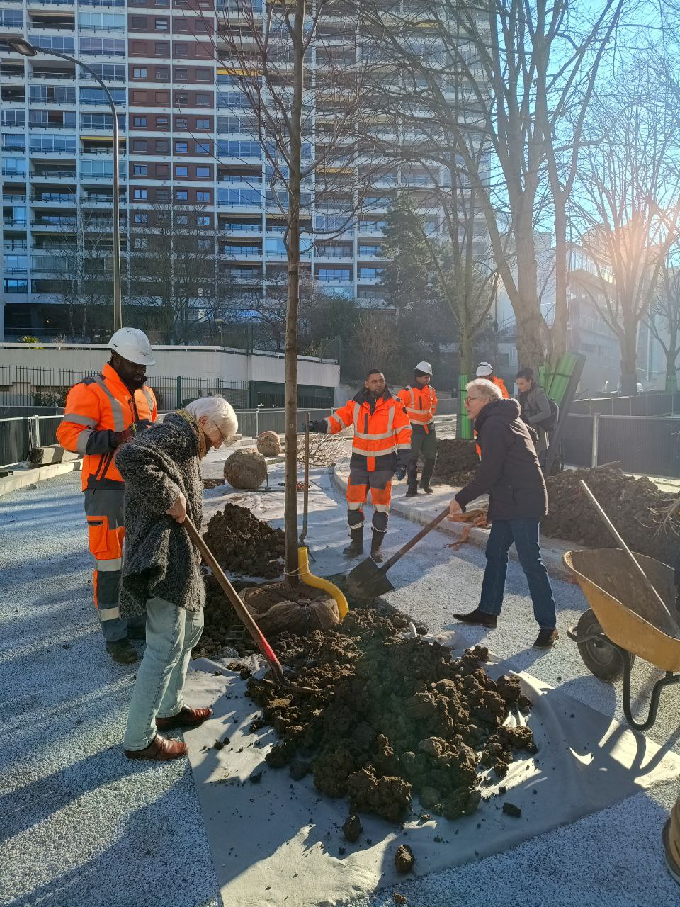 Photo de la Plantation d'arbres rue Pixérécourt