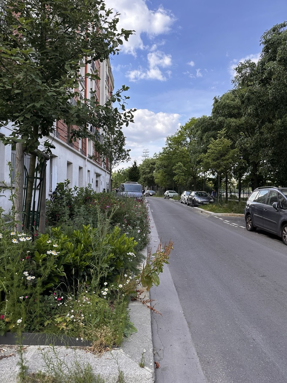 Photo Rue des Docteurs-Augusta-et-Jules-Déjerine