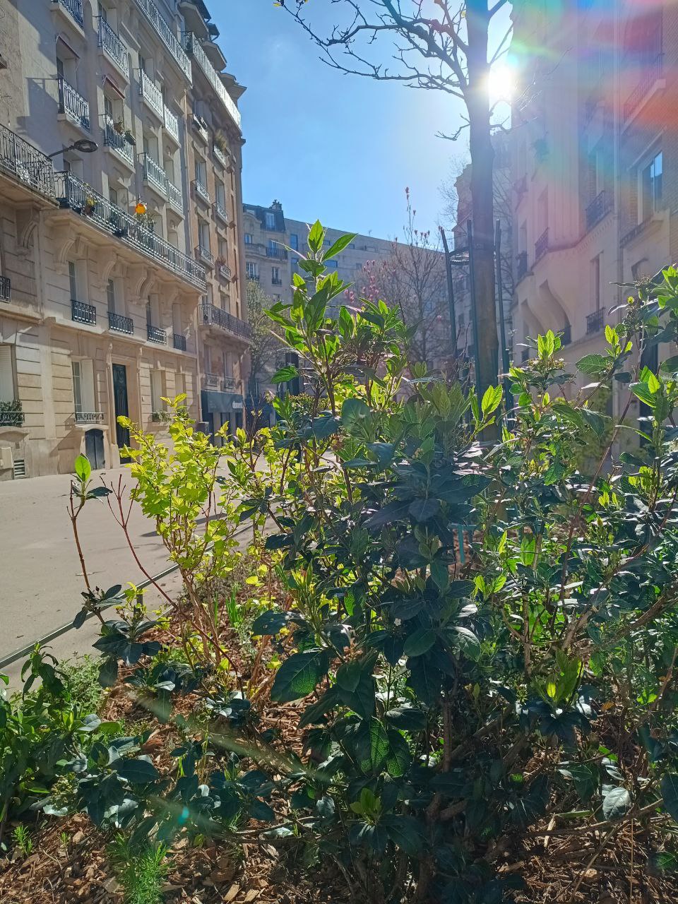 Photo de la rue Henri Poincaré