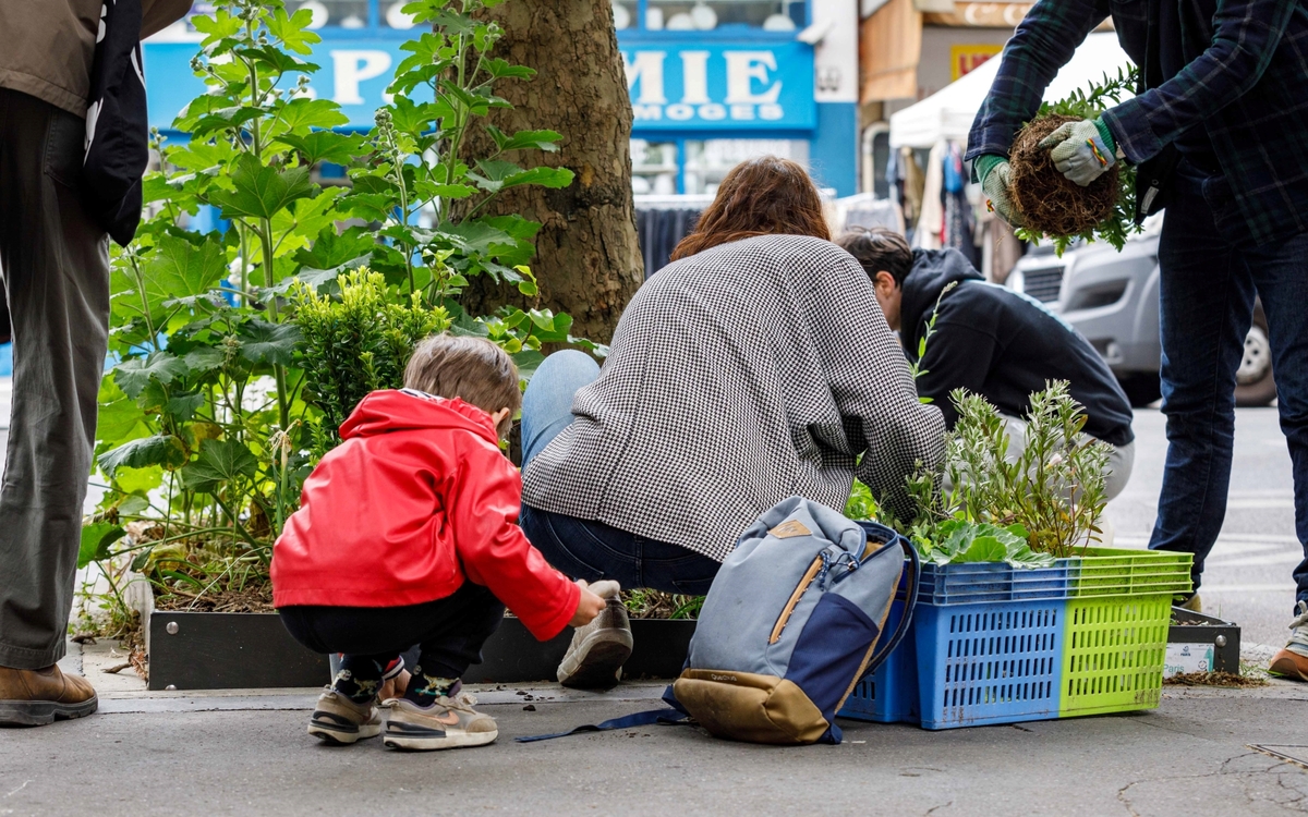 Famille plantant des arbustes sur l'avenue du générale leclerc