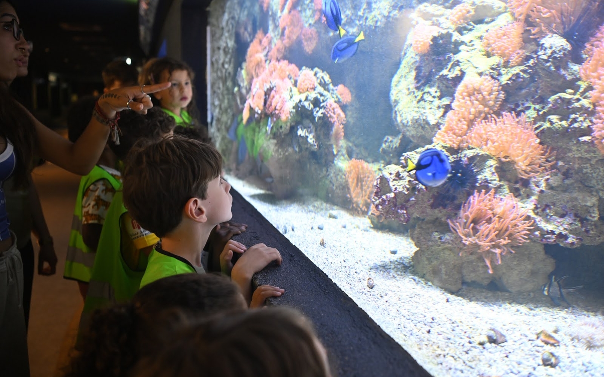 une animatrice montre des poissons aux enfants à l'aquarium tropical