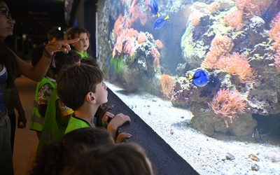une animatrice montre des poissons aux enfants à l'aquarium tropical