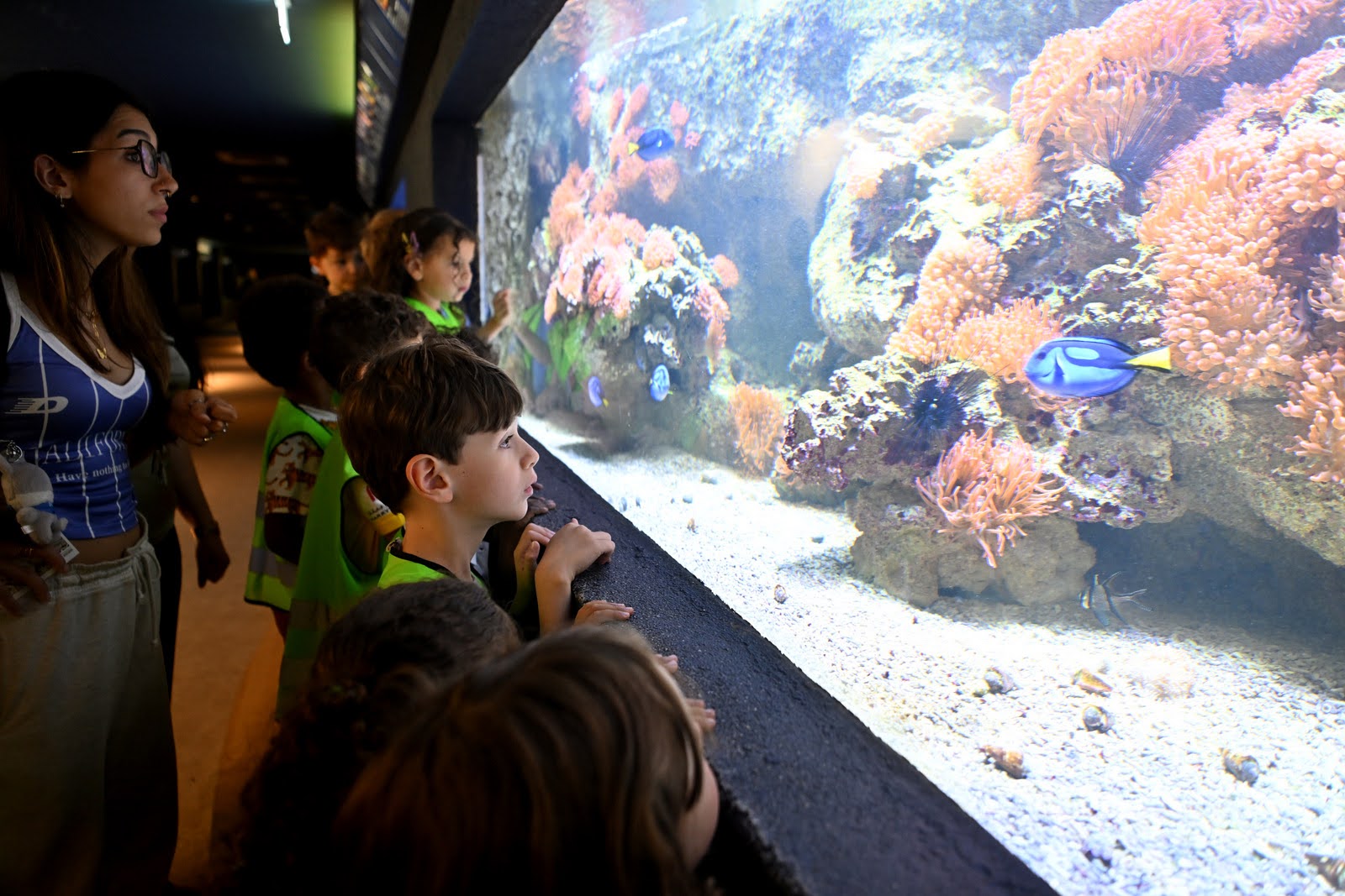les enfants observent des poissons de l'aquarium tropical