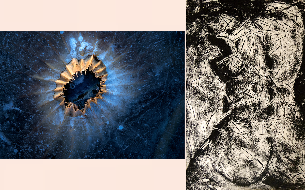 Exposition de femmes cosmos