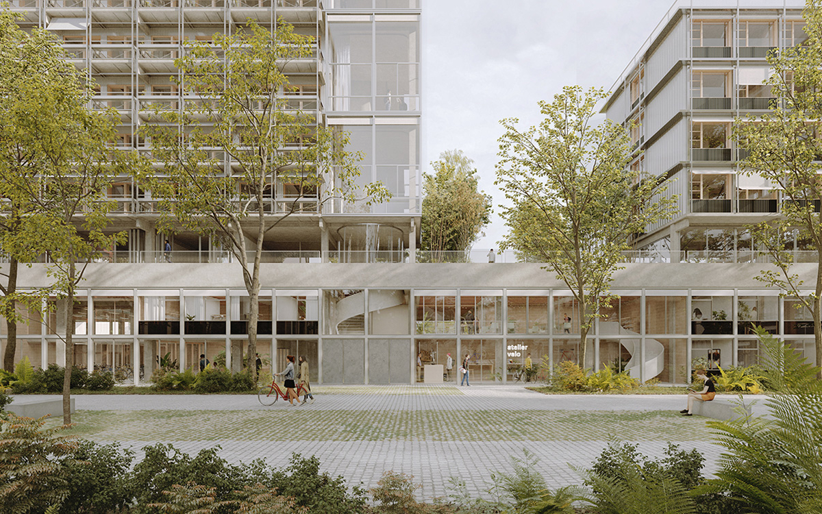 Aménagement de la zone, bâtiments et arbres 