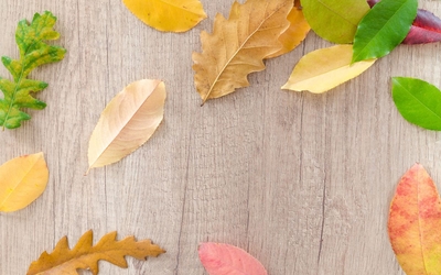 feuilles d'automne