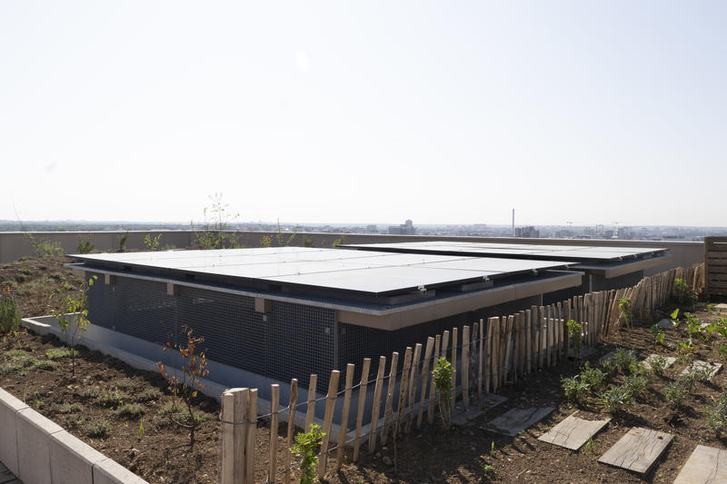panneaux photovoltaïques sur roof top Wood up