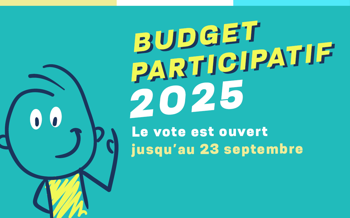 visuel budget participatif