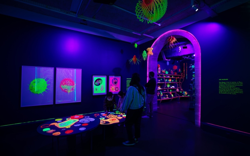 Expo Digital Abysses au musée en herbe